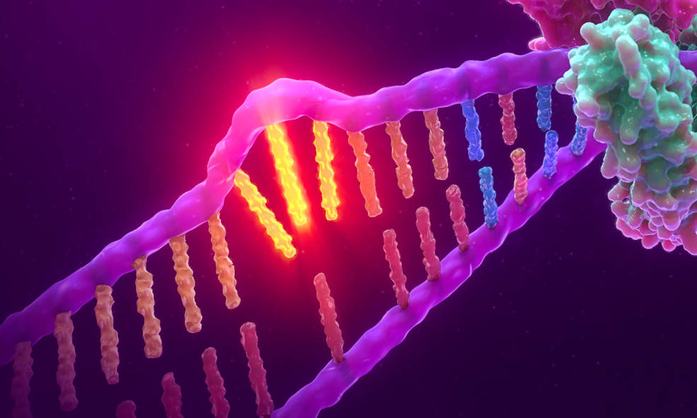 NASA Contributions to Cancer Research | EVONA